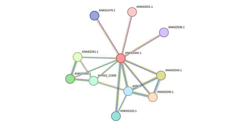 STRING protein interaction network