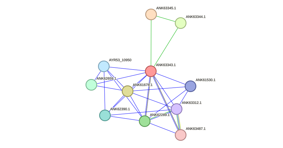 STRING protein interaction network
