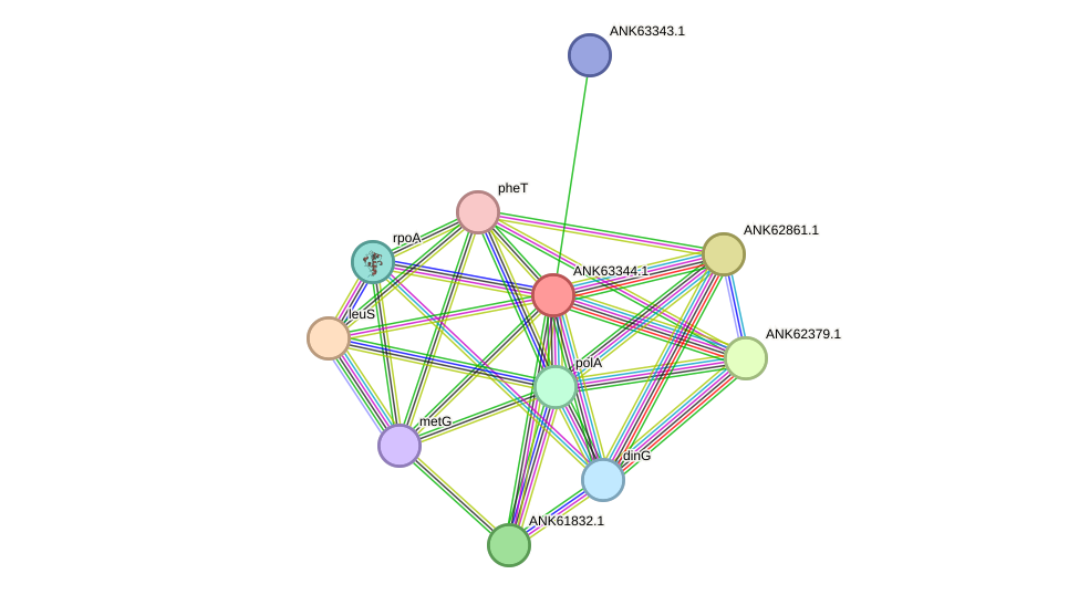 STRING protein interaction network