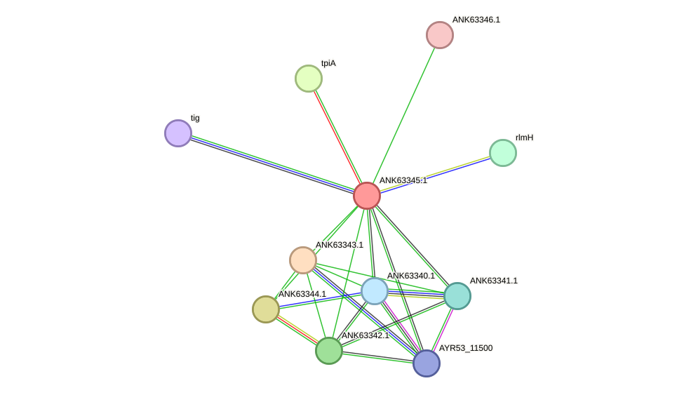 STRING protein interaction network