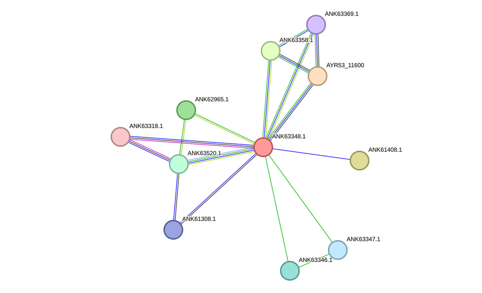 STRING protein interaction network