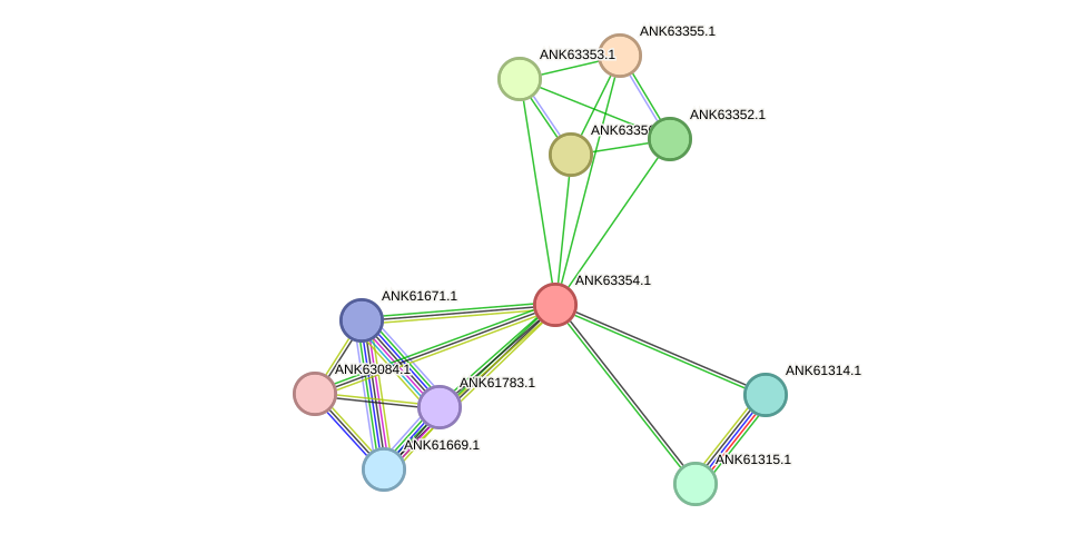 STRING protein interaction network