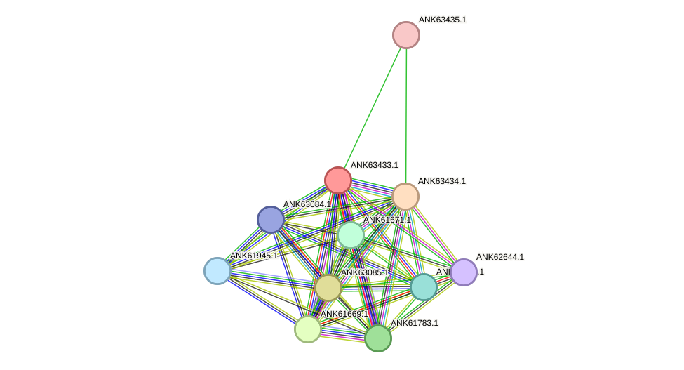 STRING protein interaction network
