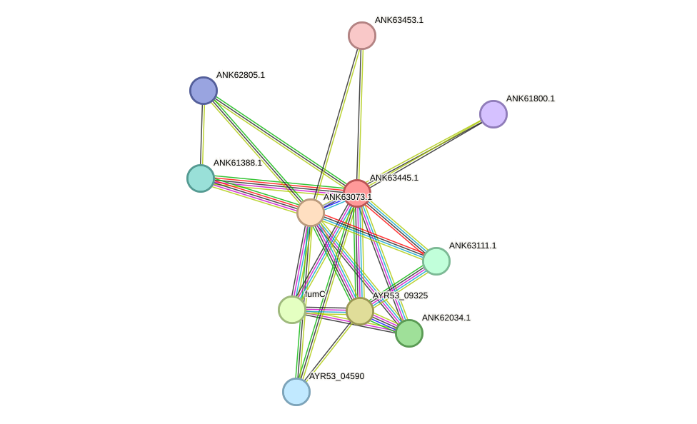 STRING protein interaction network