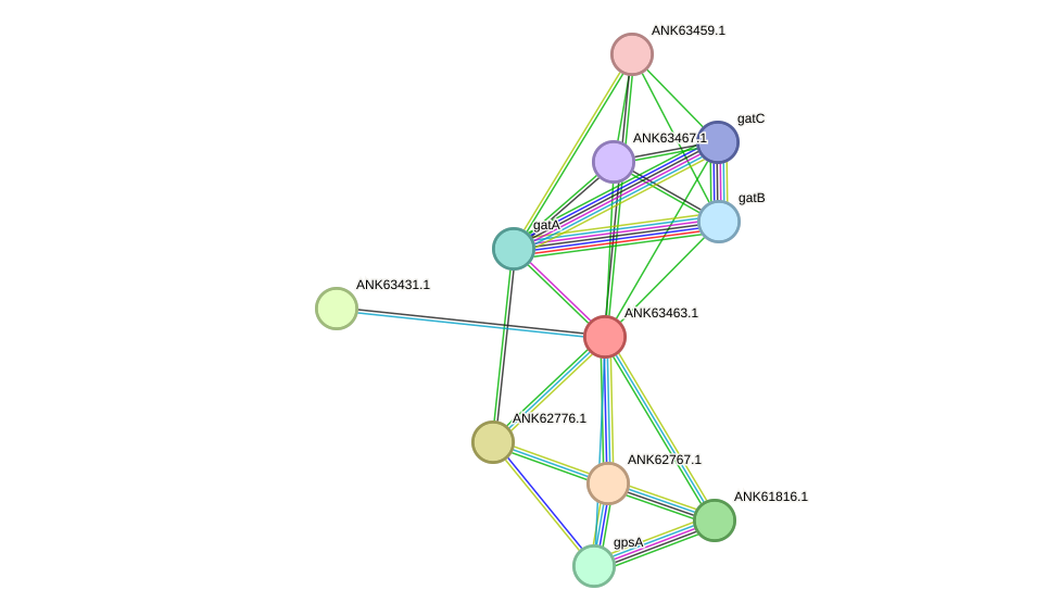 STRING protein interaction network