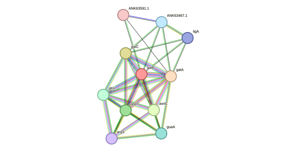 STRING protein interaction network