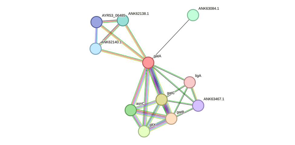 STRING protein interaction network