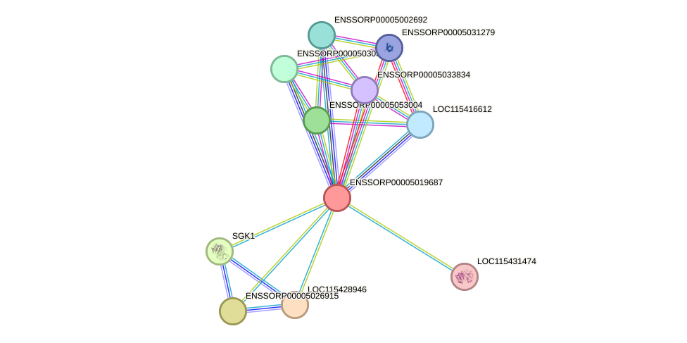 STRING protein interaction network