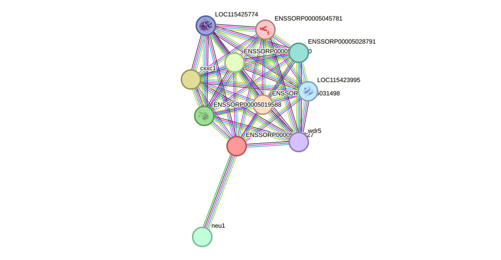 STRING protein interaction network