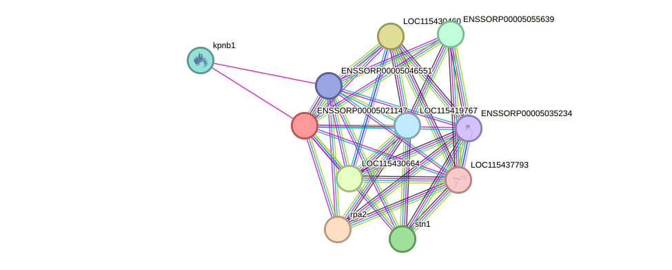 STRING protein interaction network