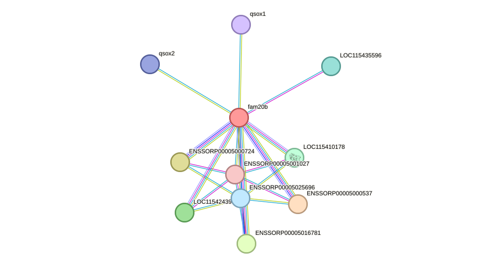 STRING protein interaction network