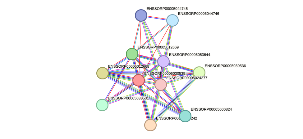 STRING protein interaction network