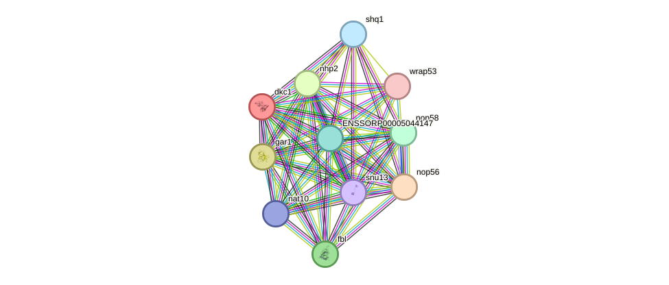 STRING protein interaction network