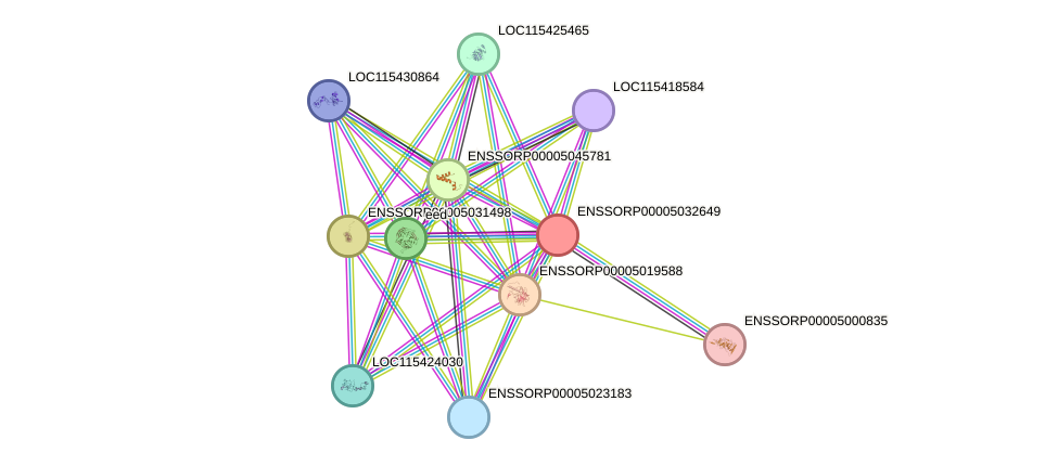 STRING protein interaction network