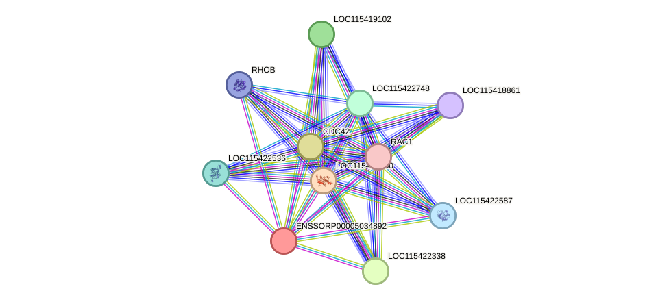 STRING protein interaction network