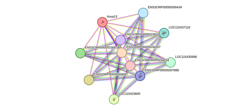 STRING protein interaction network