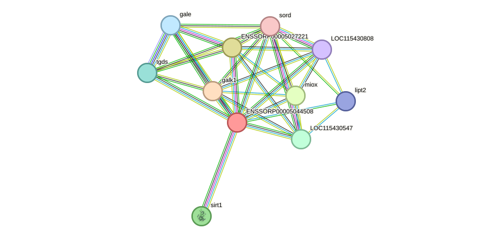 STRING protein interaction network