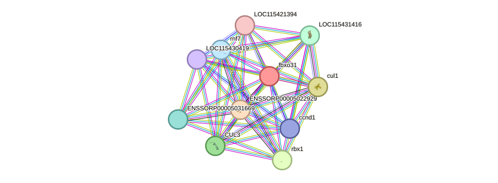 STRING protein interaction network