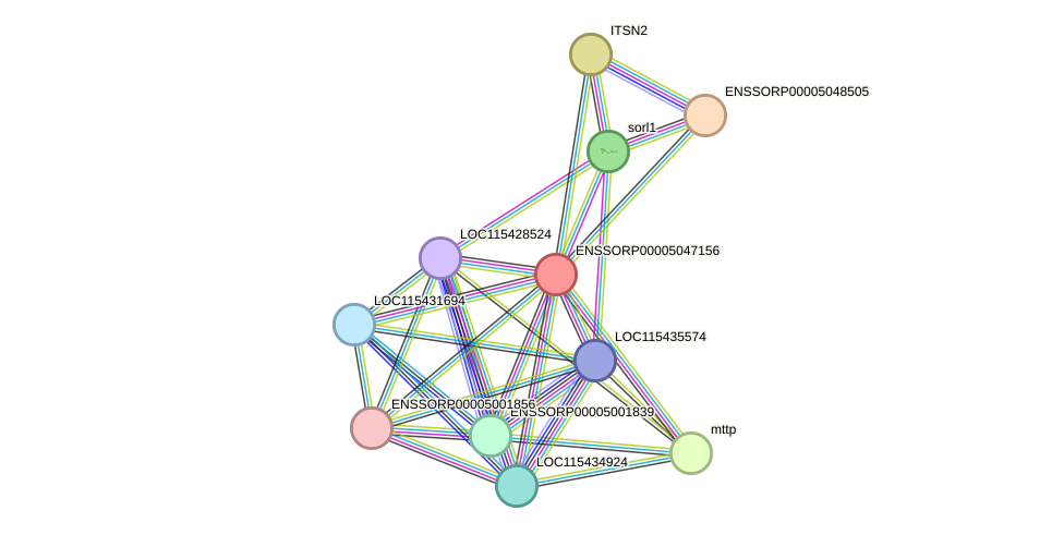 STRING protein interaction network