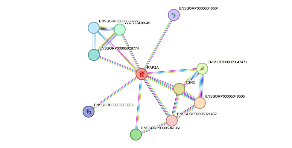 STRING protein interaction network