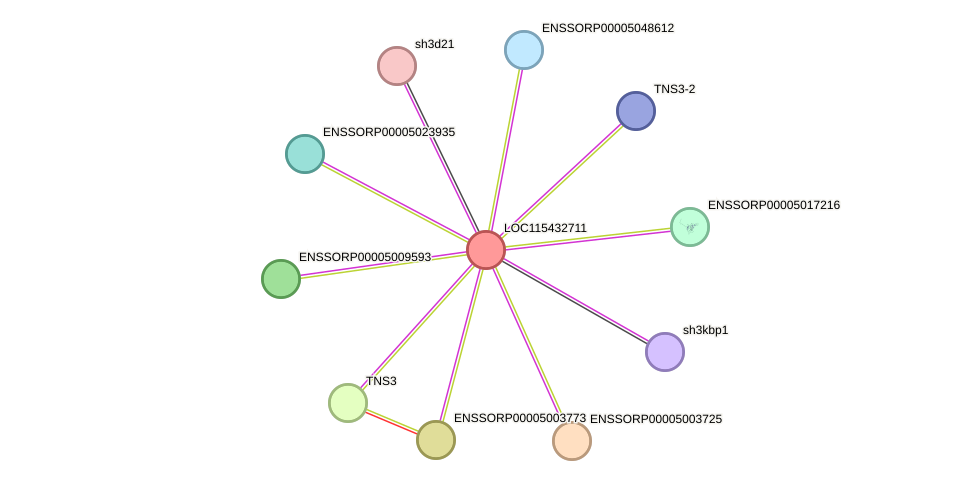 STRING protein interaction network