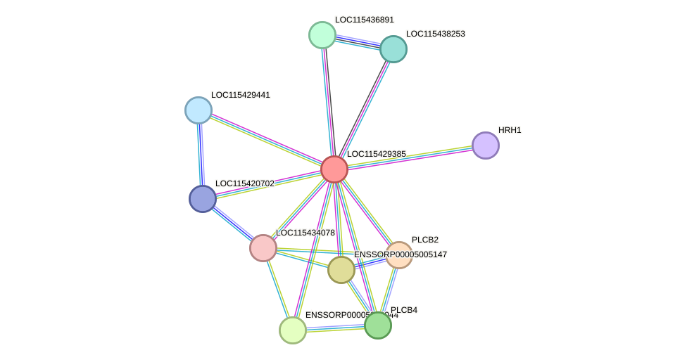 STRING protein interaction network