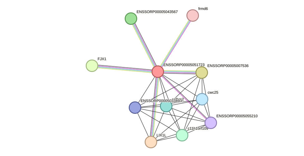 STRING protein interaction network