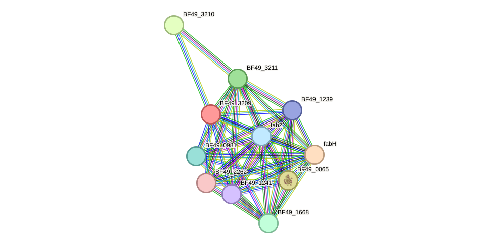 STRING protein interaction network