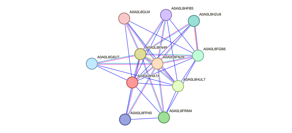 STRING protein interaction network