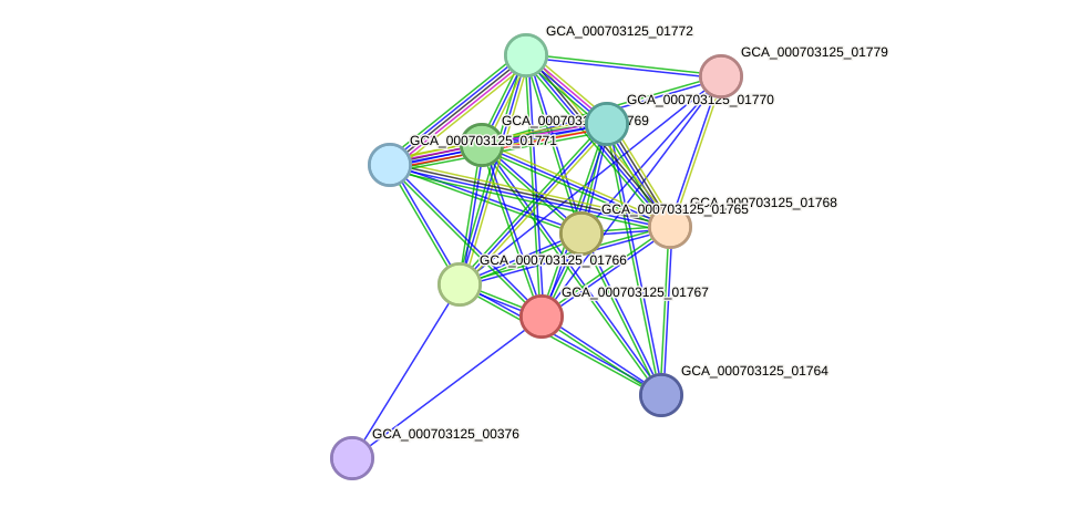 STRING protein interaction network