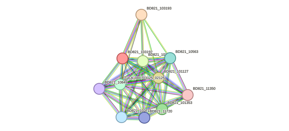 STRING protein interaction network