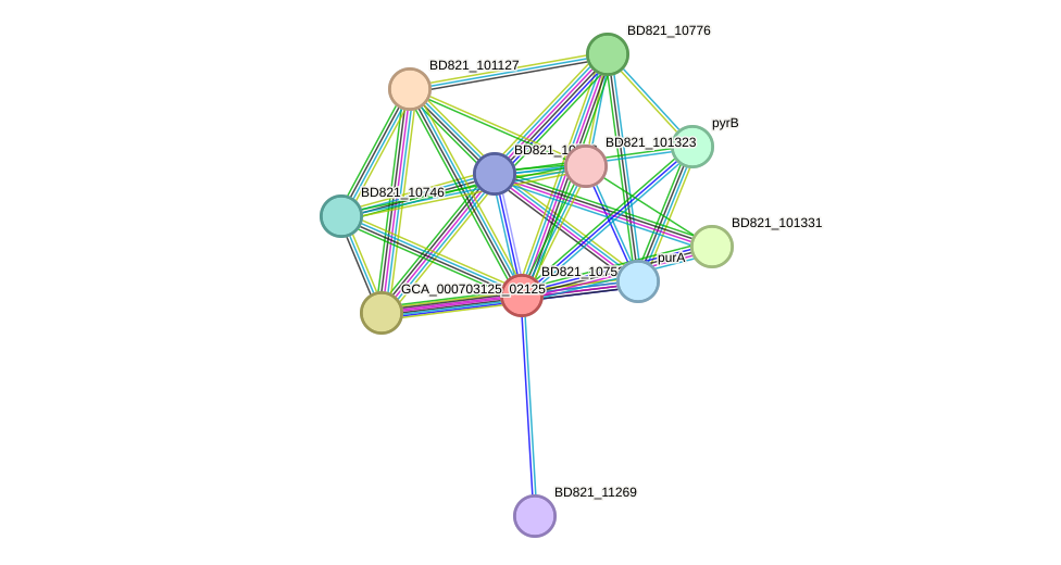 STRING protein interaction network