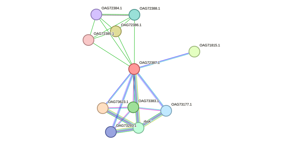 STRING protein interaction network