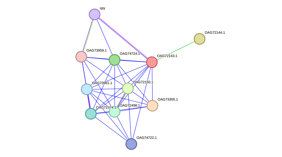 STRING protein interaction network