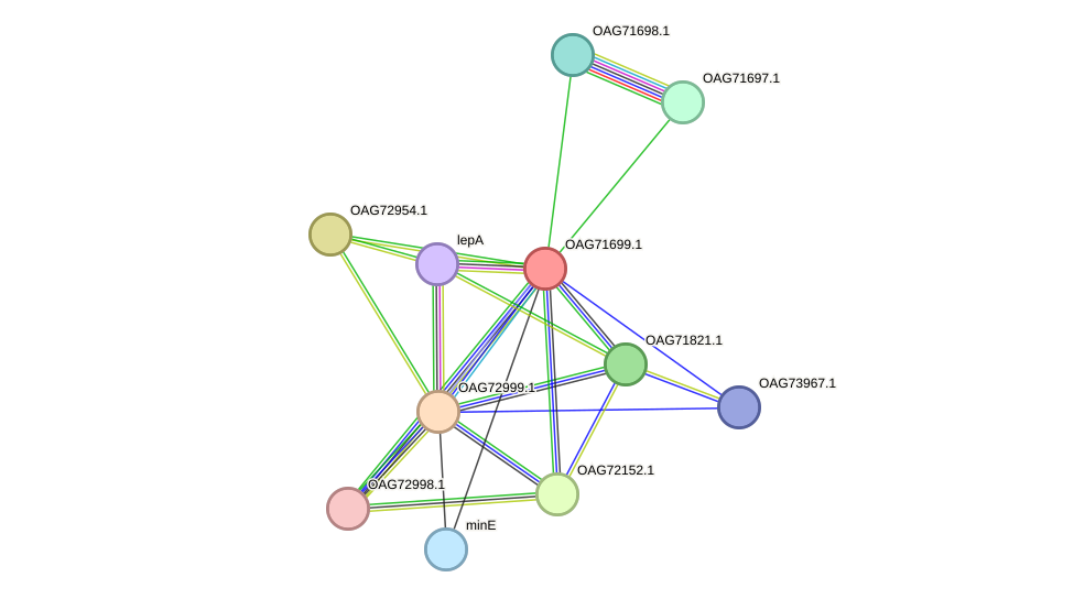 STRING protein interaction network