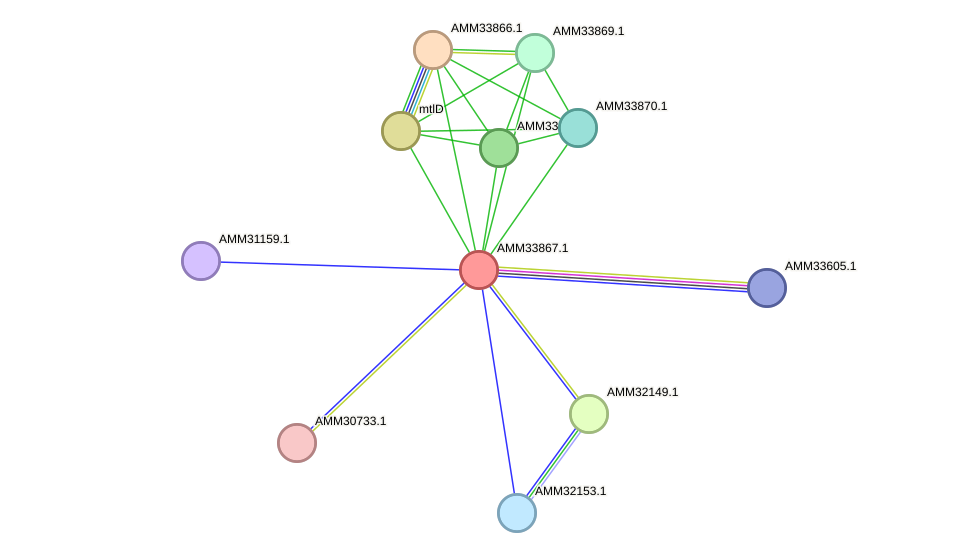 STRING protein interaction network