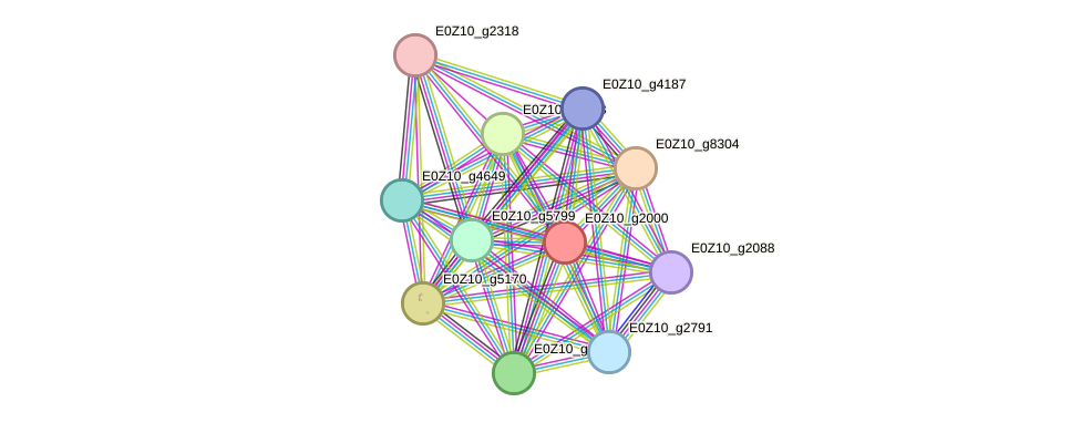 STRING protein interaction network