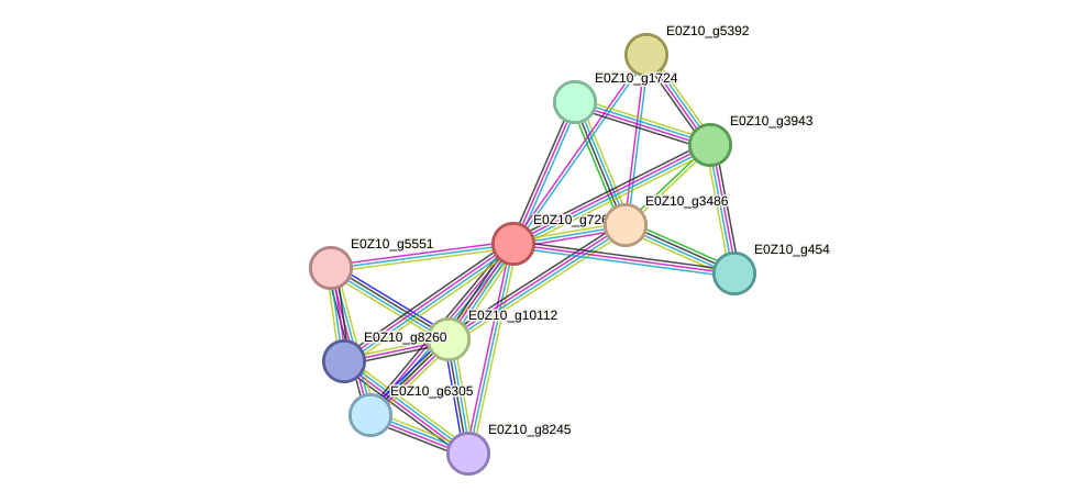 STRING protein interaction network