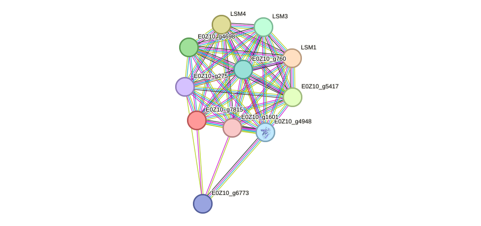 STRING protein interaction network