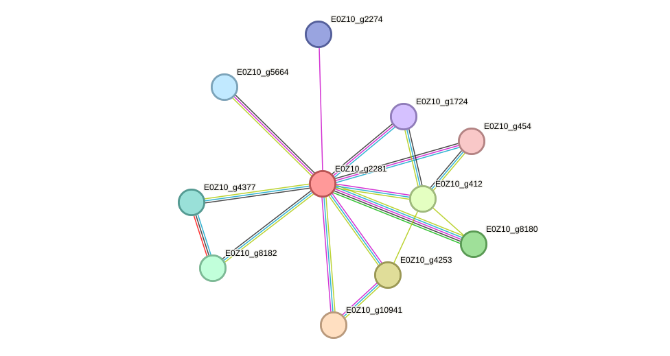 STRING protein interaction network