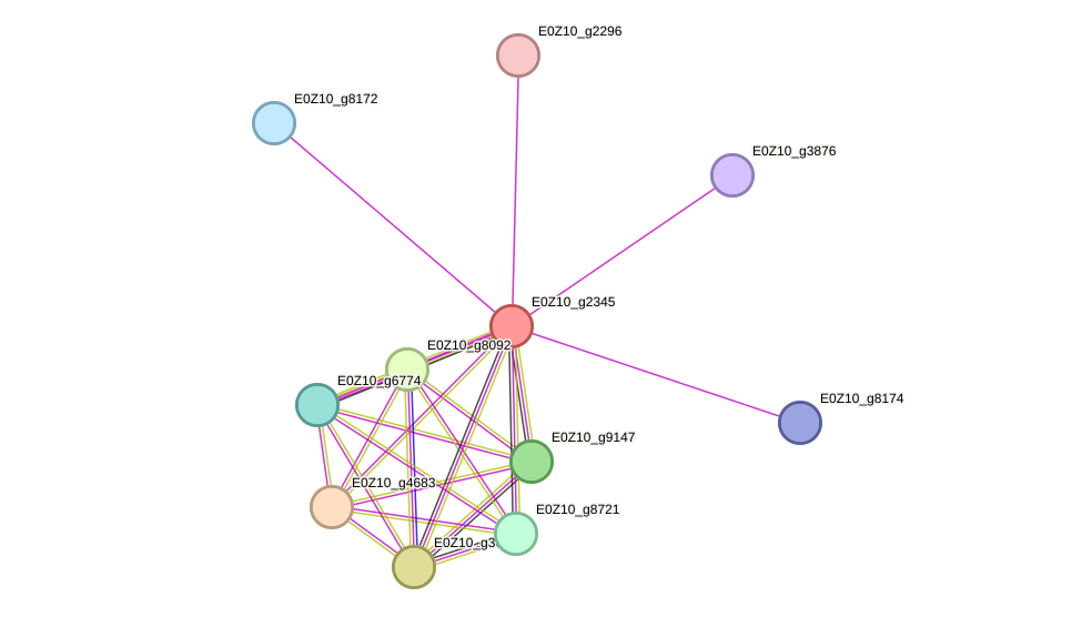 STRING protein interaction network