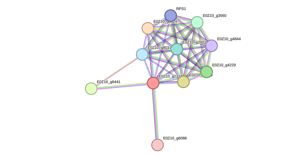 STRING protein interaction network