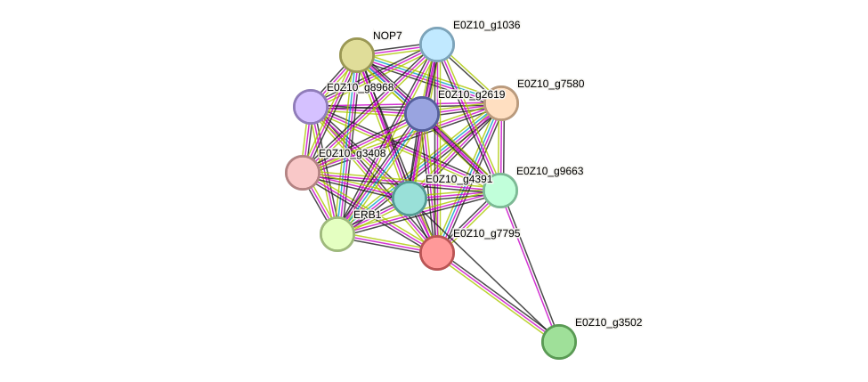 STRING protein interaction network
