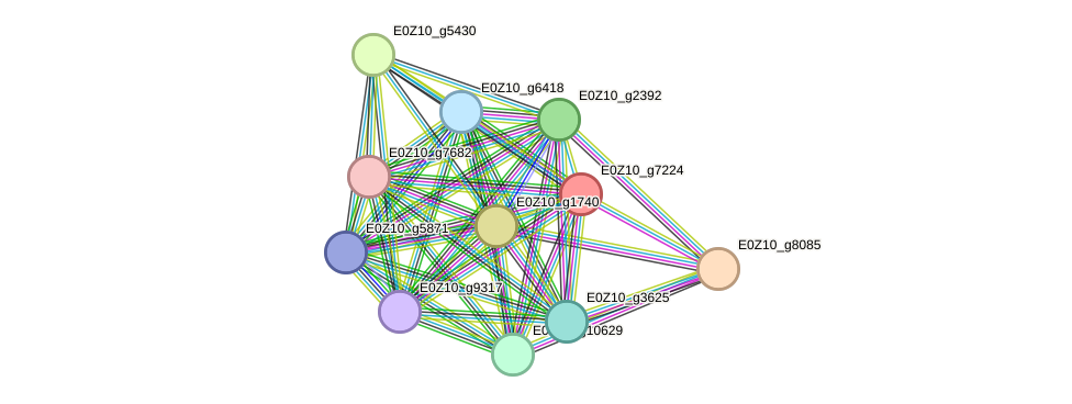 STRING protein interaction network