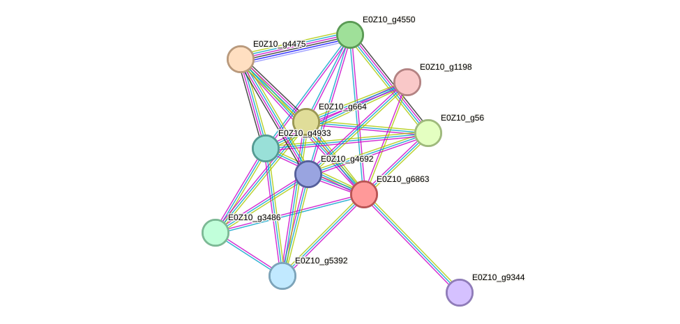 STRING protein interaction network