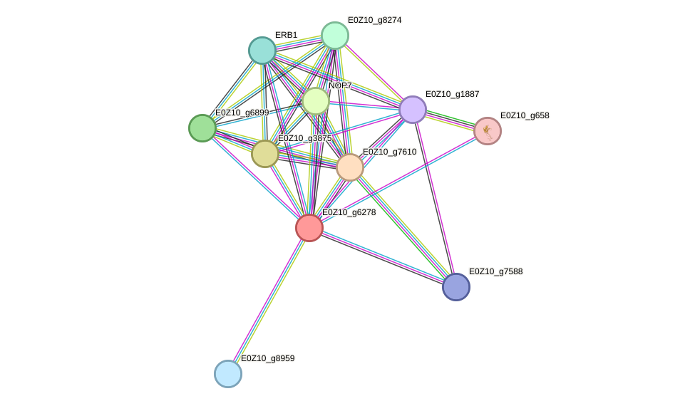 STRING protein interaction network