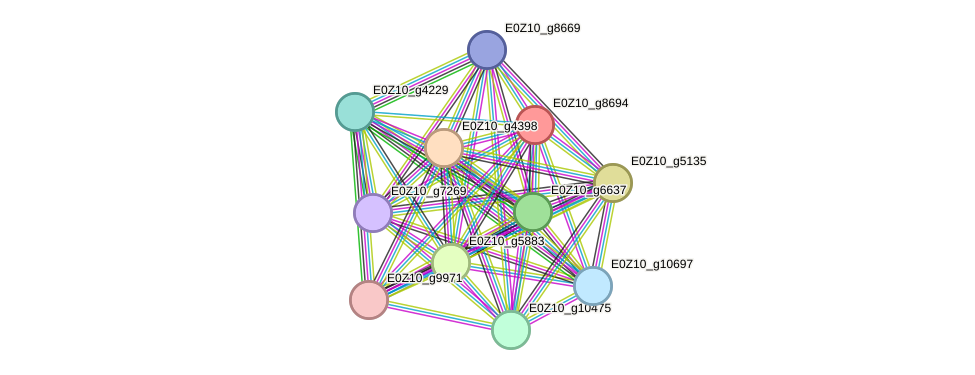 STRING protein interaction network