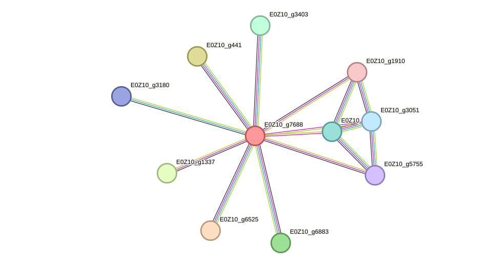 STRING protein interaction network