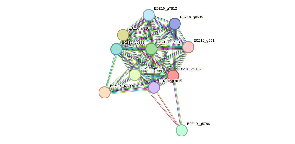 STRING protein interaction network