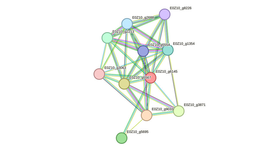STRING protein interaction network